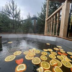 Дом Панорама 1, Московская область