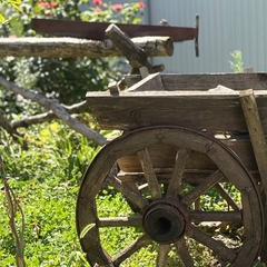 Гостевой дом Ростов Казачий, Ростовская область