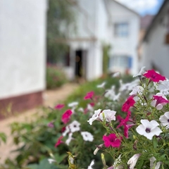 Гостевой дом Ростов Казачий, Ростовская область