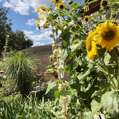 Гостевой дом Ростов Казачий, Ростовская область