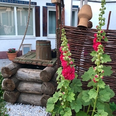 Гостевой дом Ростов Казачий, Ростовская область