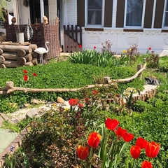 Гостевой дом Ростов Казачий, Ростовская область