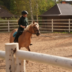 База отдыха Хомяковское подворье, Московская область
