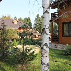 База отдыха Хомяковское подворье, Московская область