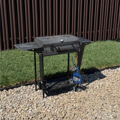 Дом Панорама 3, Московская область