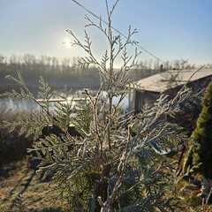 Гостевой дом Домик в терновнике, Ростовская область