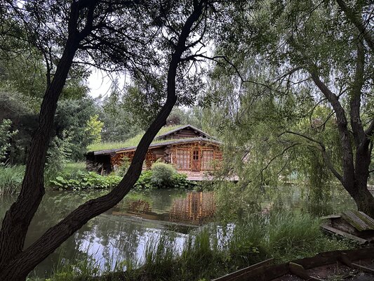 Таежный — фото 5