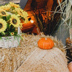 Глэмпинг  Capital-Marks, Саратовская область