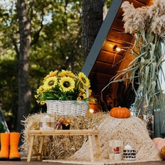 Глэмпинг  Capital-Marks, Саратовская область