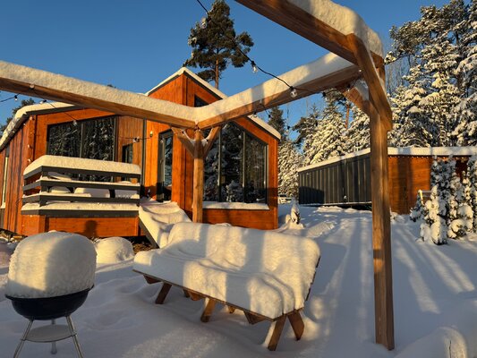 в аренду Ёлки Чилл — фото 3