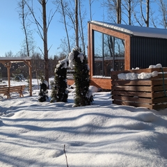 Коттедж в аренду Ёлки Чилл, Ленинградская область