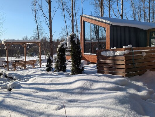 в аренду Ёлки Чилл — фото 2