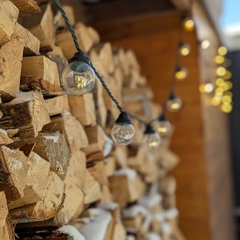 Коттедж в аренду Ёлки Чилл, Ленинградская область