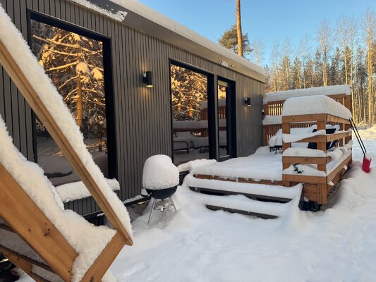 в аренду Ёлки Чилл — фото 4