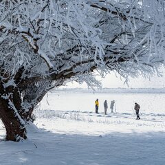 Отель Рыбзавод, Астраханская область