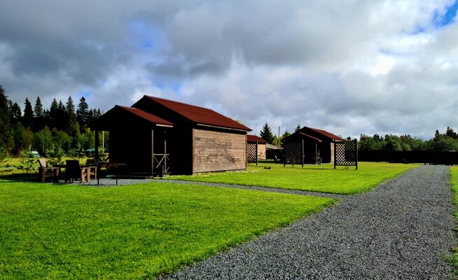 Лиски  — фото 2