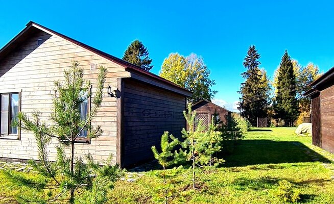 Лиски  — фото 5