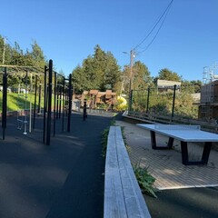 Частный дом Три Тома, Ленинградская область