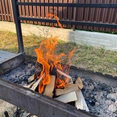 Гостевой дом Эко-дом у леса, Московская область