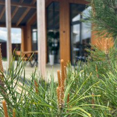 Гостевой дом Эко-дом у Озера, Московская область