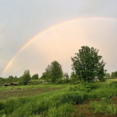 Гостевой дом The Лес, Пермский край