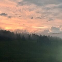 Гостевой дом The Лес, Пермский край