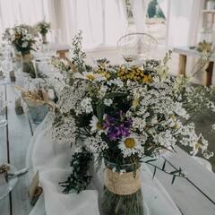 Эко-отель Белово, Ленинградская область