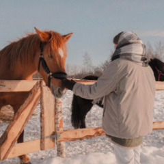 Эко-отель Белово, Ленинградская область