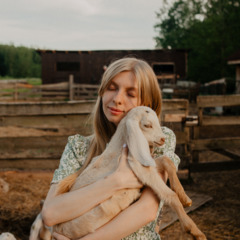 Эко-отель Белово, Ленинградская область