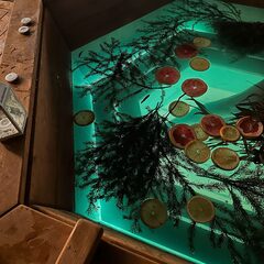 Эко-отель Белово, Ленинградская область