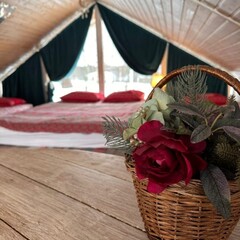 Эко-отель Белово, Ленинградская область