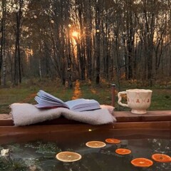 Эко-отель Белово, Ленинградская область