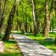 Отель Elybay, Калининградская область