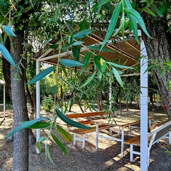 База отдыха БенелюксДон, Ростовская область