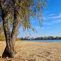 База отдыха БенелюксДон, Ростовская область