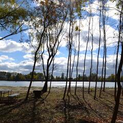 База отдыха БенелюксДон, Ростовская область