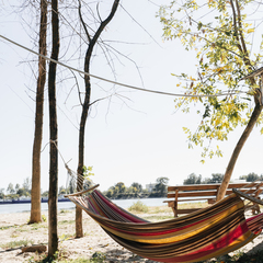 База отдыха БенелюксДон, Ростовская область
