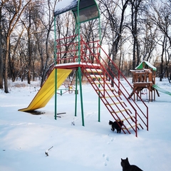 База отдыха БенелюксДон, Ростовская область