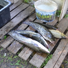 База отдыха БенелюксДон, Ростовская область