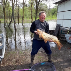 База отдыха БенелюксДон, Ростовская область