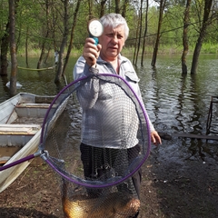 База отдыха БенелюксДон, Ростовская область