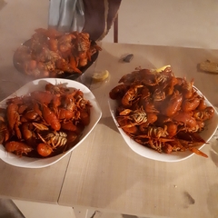 База отдыха БенелюксДон, Ростовская область