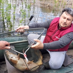 База отдыха БенелюксДон, Ростовская область