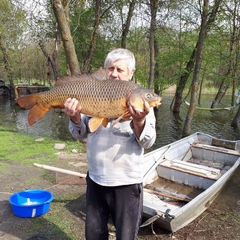 База отдыха БенелюксДон, Ростовская область