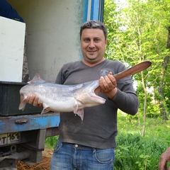База отдыха БенелюксДон, Ростовская область