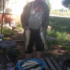 База отдыха БенелюксДон, Ростовская область