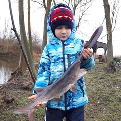 База отдыха БенелюксДон, Ростовская область