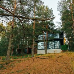 Гостевой дом Elki Лебяжье, Ленинградская область