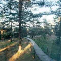 Гостевой дом Elki Лебяжье, Ленинградская область