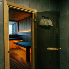 Гостевой дом Elki Лебяжье, Ленинградская область